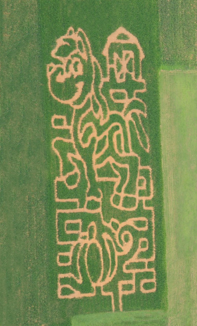 Kids Corn Maze & Play Area ...