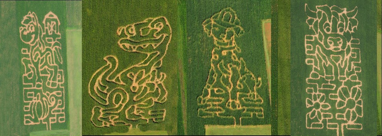 WILCOX FARMS KID'S CORN MAZE